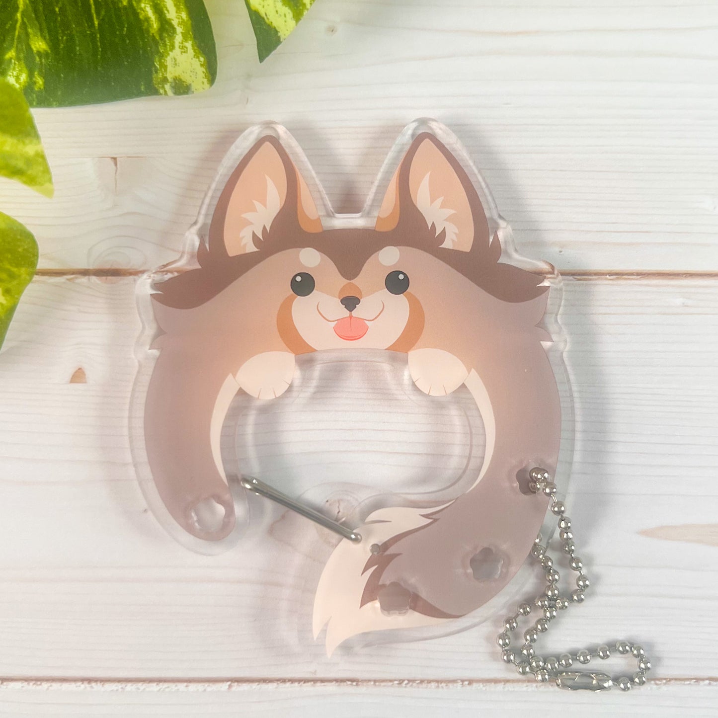 Acrylic Animal Carabiners