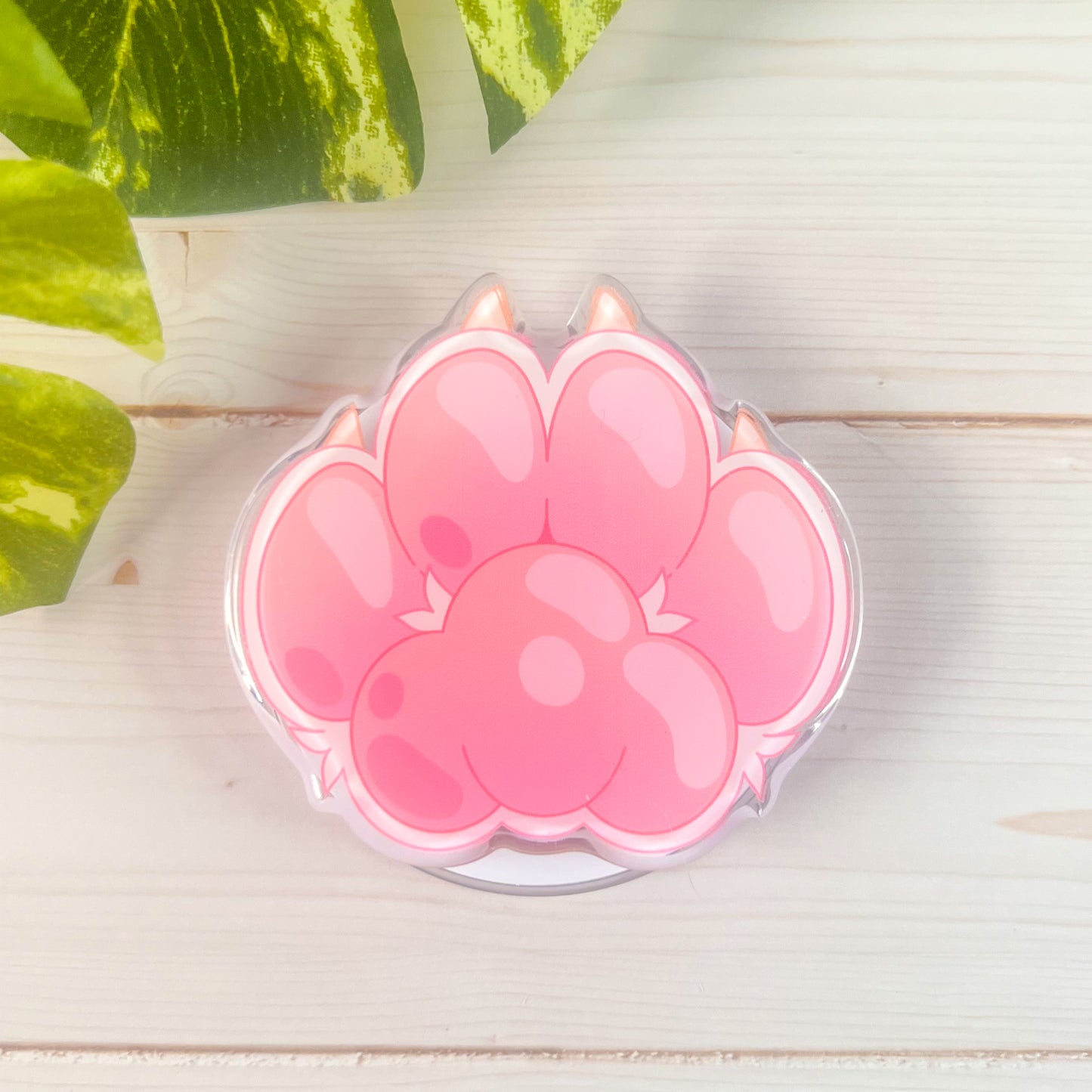 Acrylic Phone Grips