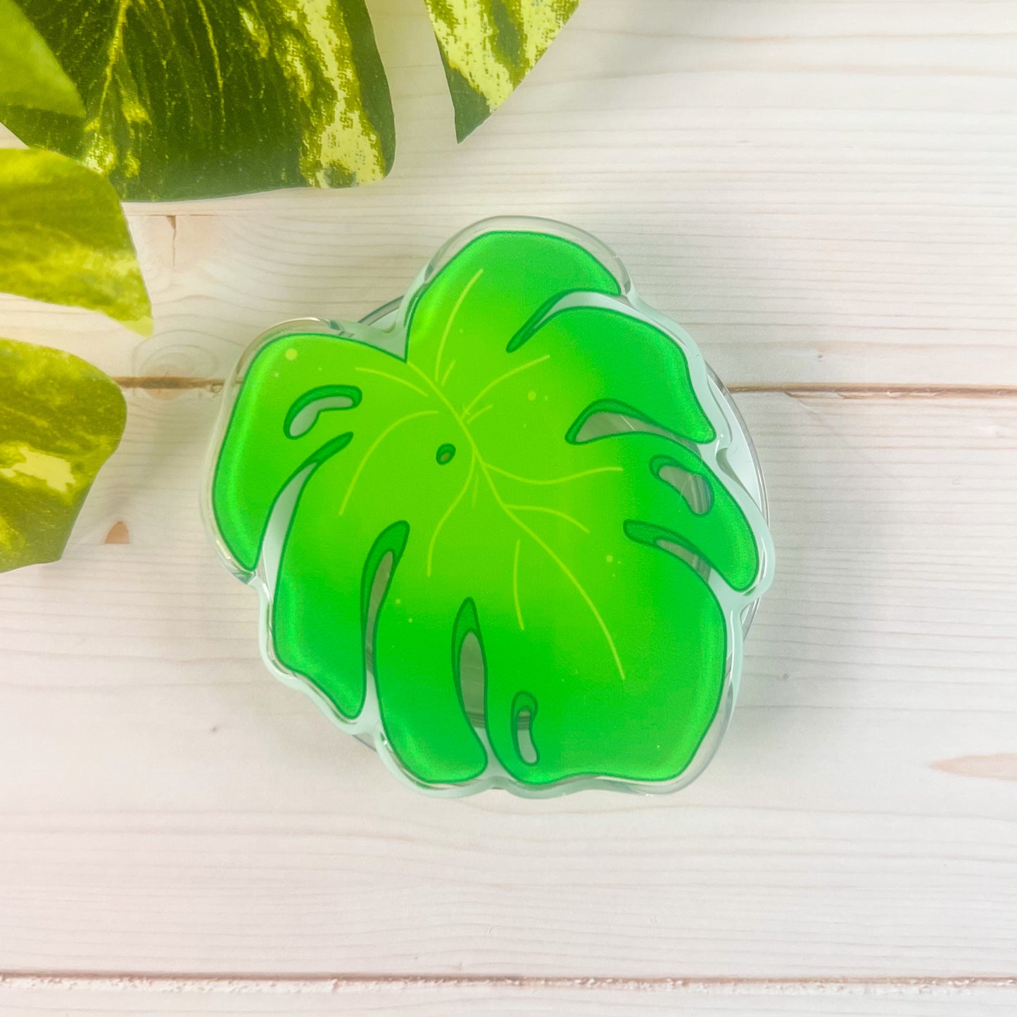Acrylic Phone Grips